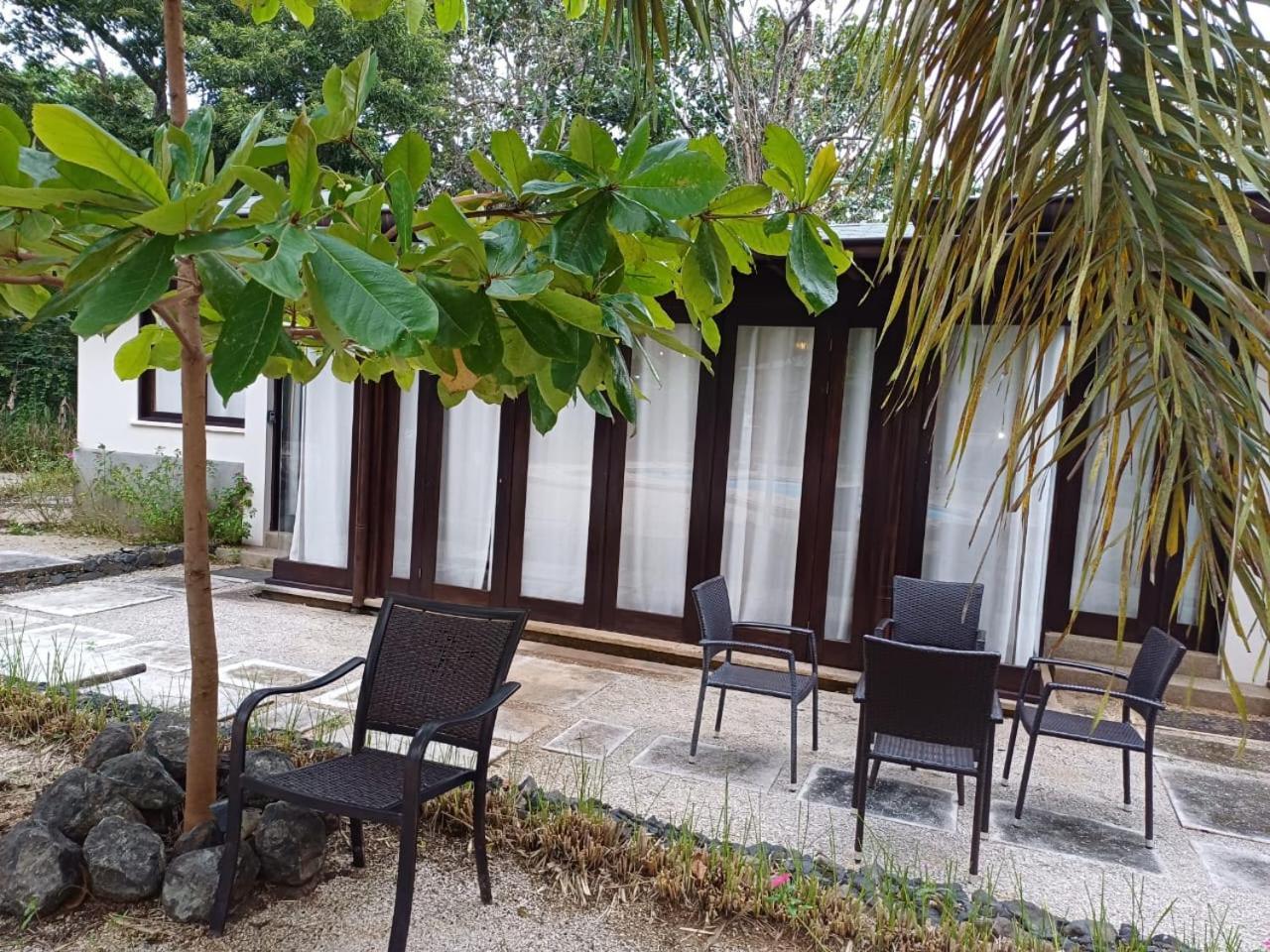 Beach Walk Costa Rica بلايا أفيينا المظهر الخارجي الصورة